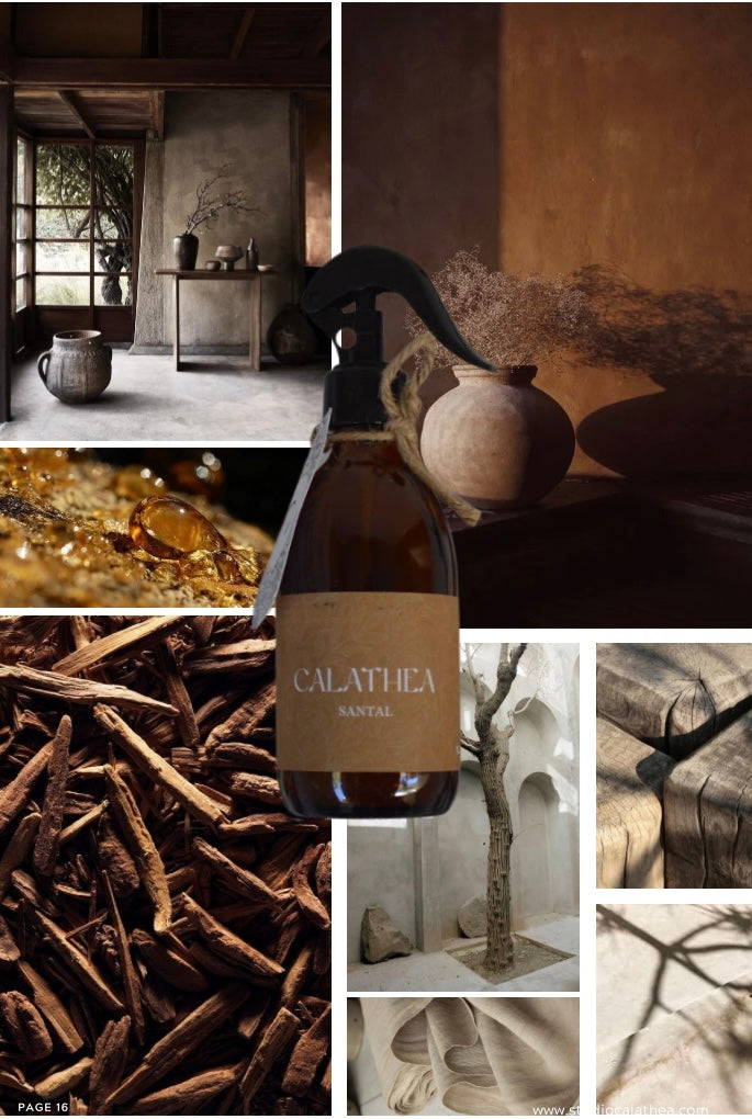 Aromatizante 250 ml de vidrio. Santal: Sándalo.