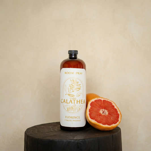 Aromatizante Litro | Florence | Citrico amaderado